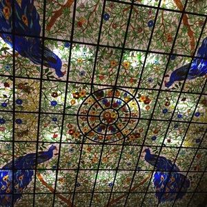 Meet your Posher, Ileana